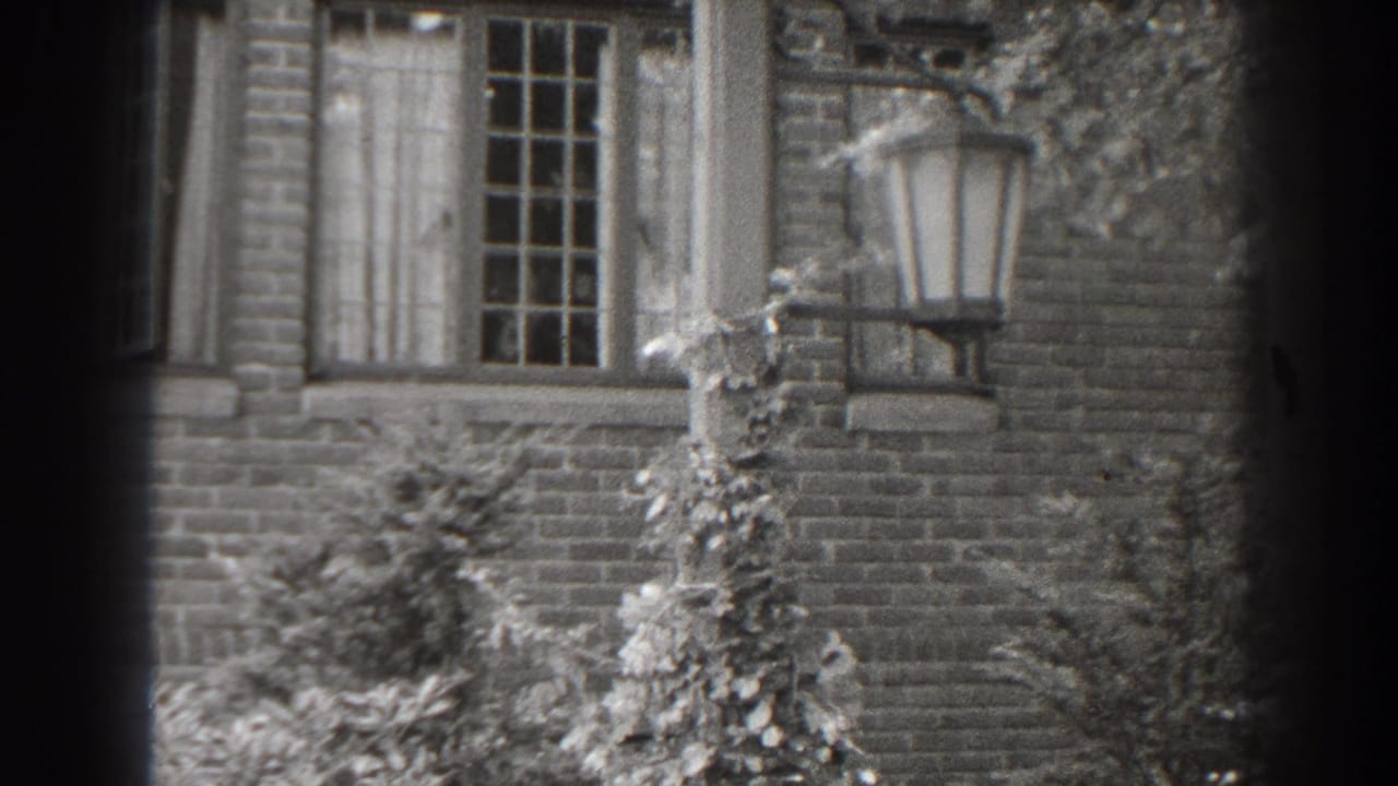 Brick exterior with a tall window, vines, foliage and a wall-mounted lantern.