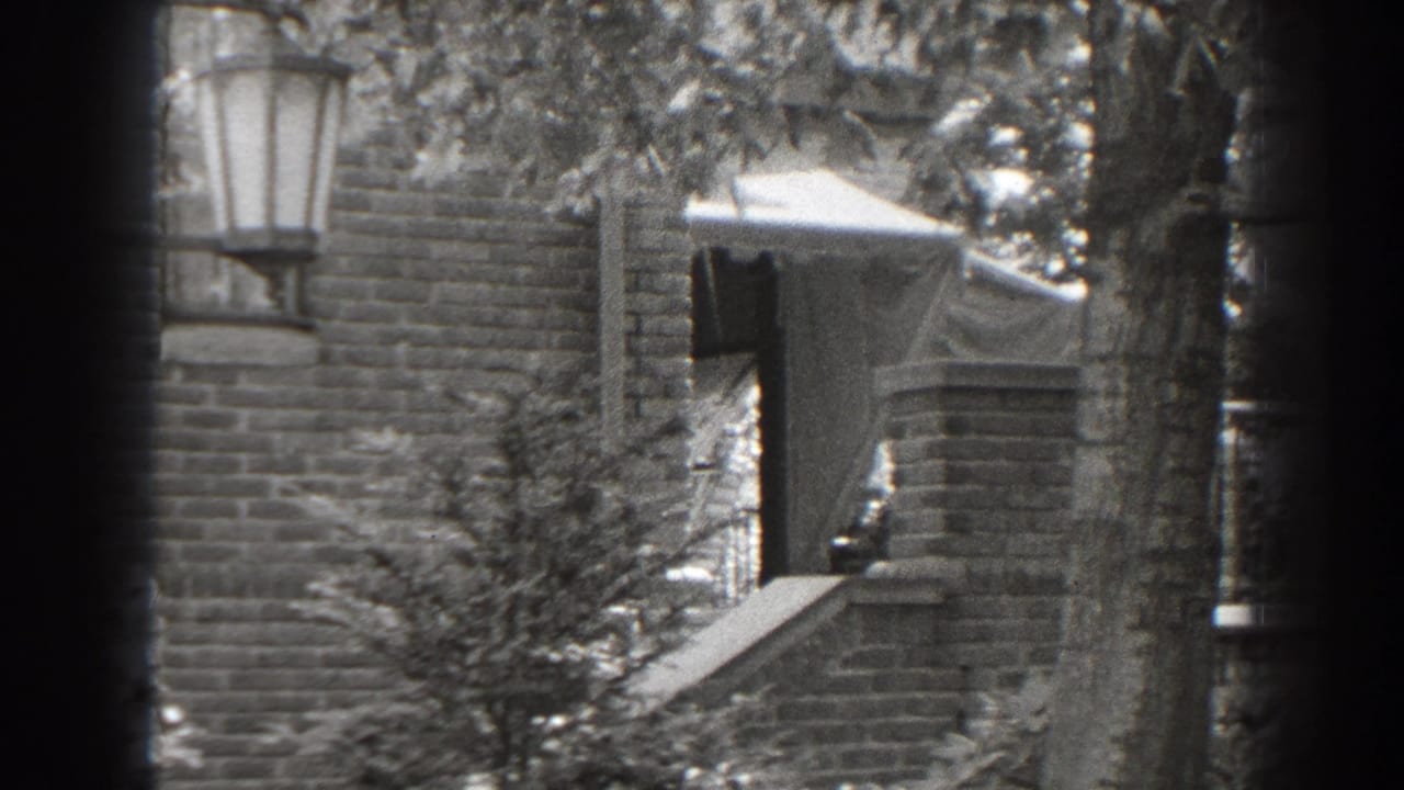 Brick house doorway area with awning, porch steps, lantern fixture, and foliage.