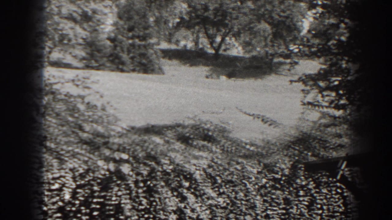 Grassy hill with trees and the edge of a wooden platform at right.
