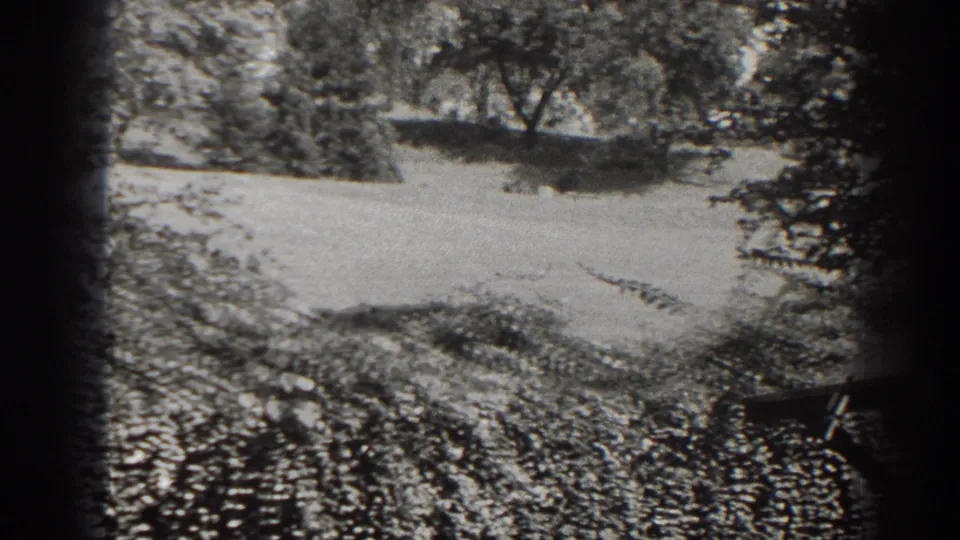The camera pans across the Cumberland yard, showing a grassy hill, trees, shrubs, and part of the wooden platform at the frame edge.