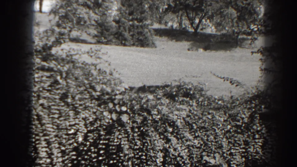Near the end of the pan, the frame shows a sunlit grassy clearing in Cumberland with trees, shrubs, and the platform partly visible.
