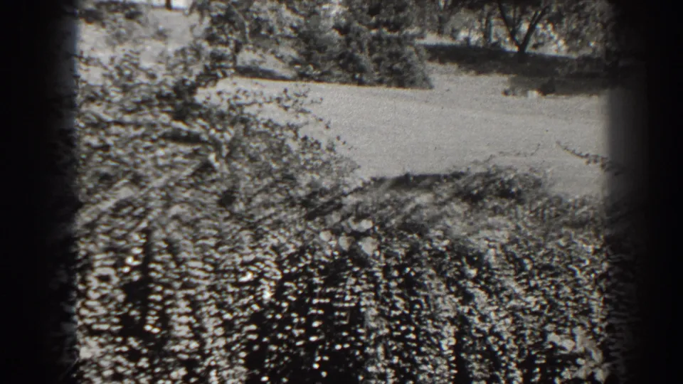 Black-and-white 1938 Cumberland home-movie frame showing dense bushes, lawn, and dark 8mm film borders.