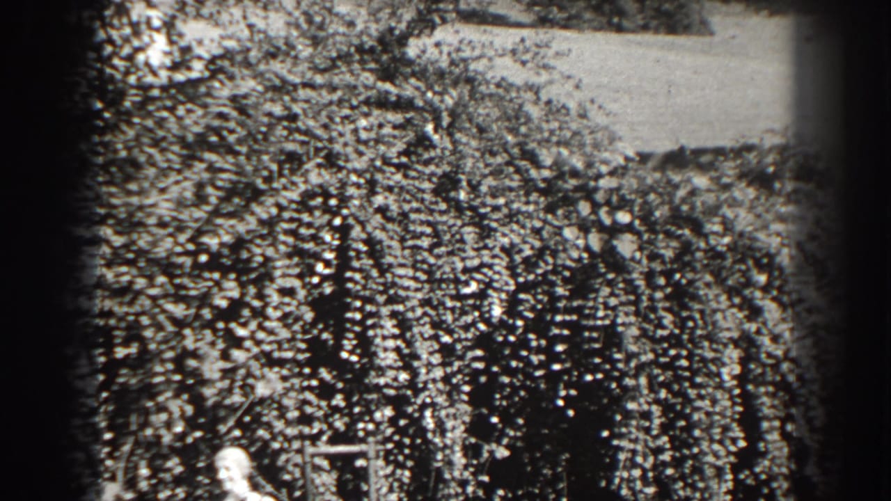 Dense bushes with a partial seated figure near the bottom of the frame.