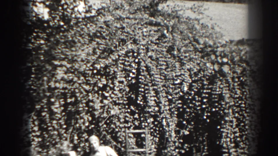 1938 Cumberland home-movie frame showing a woman in dark swimwear seated in a sunny garden near large bushes.