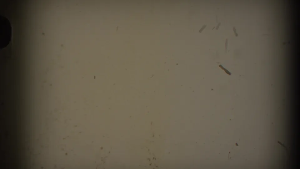 Near-blank 8mm frame from the Cumberland 1938 reel, with visible dust, small scratches, and dark gate-edge shadow.