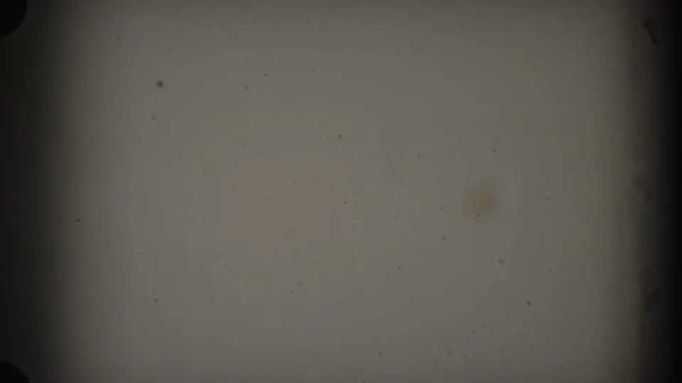 Gray-toned blank 8mm frame from the 1938 Cumberland reel with dust specks, faint staining, and edge darkening.