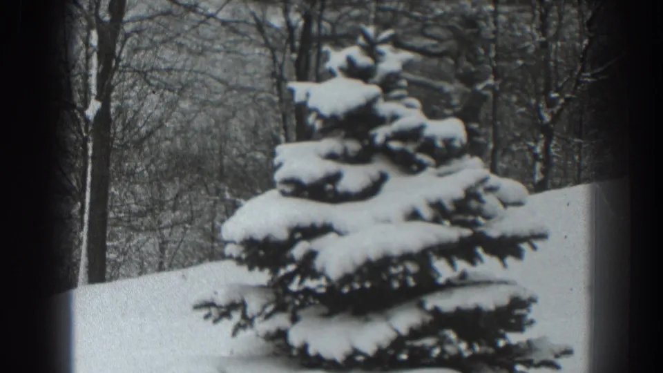 Black-and-white 8mm frame from 1938 Martinsburg showing a snow-laden evergreen set against leafless winter trees.