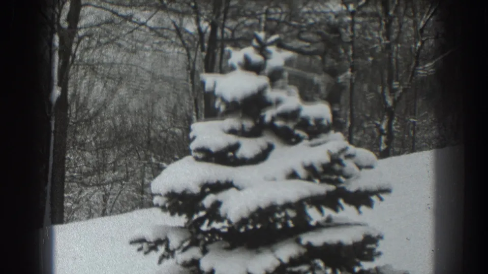 1938 Martinsburg home-movie frame showing a snow-covered conifer in front of bare winter trees and a white snowbank.