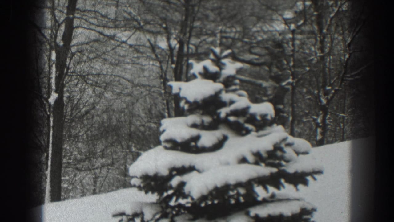 Snow-laden conifer and bare trees, framed by dark vertical film edges.