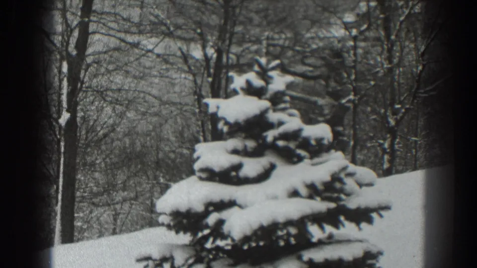 1938 Martinsburg winter frame with a snow-covered conifer, bare trees, and a smooth snowy bank in monochrome 8mm texture.