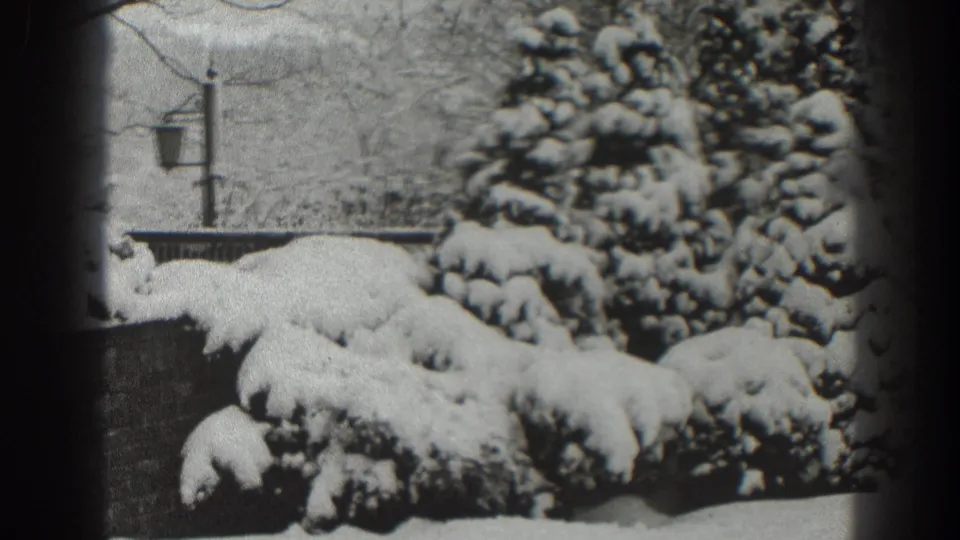 1938 Martinsburg home-movie frame with snow-covered shrubs and conifers beside a low wall, with a lamppost and bare trees behind.