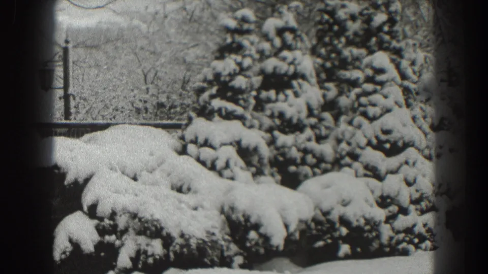1938 8mm home-movie frame from Martinsburg showing snow piled on evergreen shrubs, rocks, and bare winter branches.