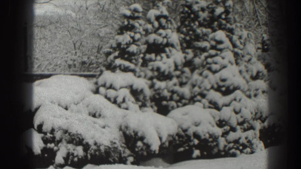 Martinsburg winter frame showing snow-loaded evergreen shrubs, a distant lamppost, and bare trees on 8mm film.