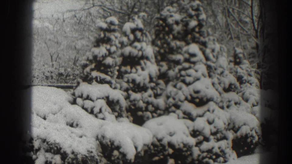Snow blankets shrubs and evergreen branches in this 1938 Martinsburg home-movie view, with leafless trees in the background.