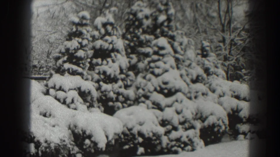 Final 8mm frame of snow-laden evergreens and shrubs in Martinsburg, with bare winter trees behind the garden scene.