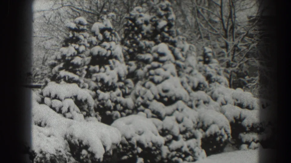 1938 Martinsburg home-movie frame showing snow-laden evergreens, low shrubs, and bare winter branches in soft black-and-white 8mm.