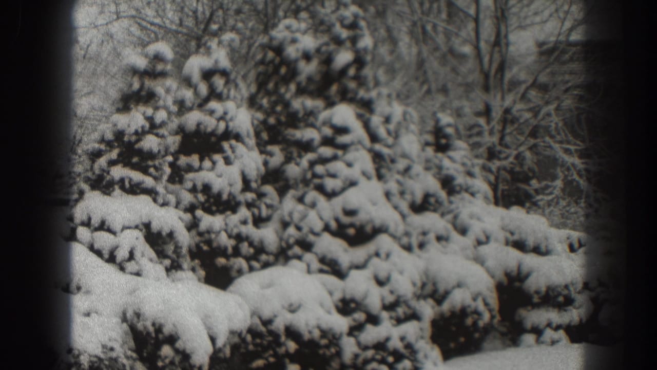 Snowy evergreens and bare trees framed by dark film edges.