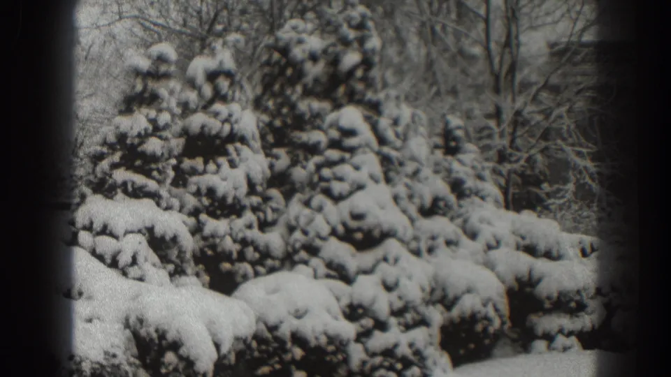Black-and-white 8mm frame from Martinsburg, West Virginia, with snow-covered evergreens and leafless trees filling the view.