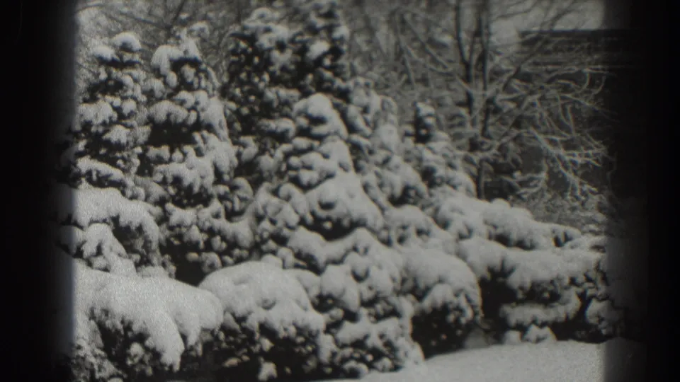 1938 8mm home-movie frame showing rounded snow-covered shrubs, evergreen branches, and bare winter trees in Martinsburg.