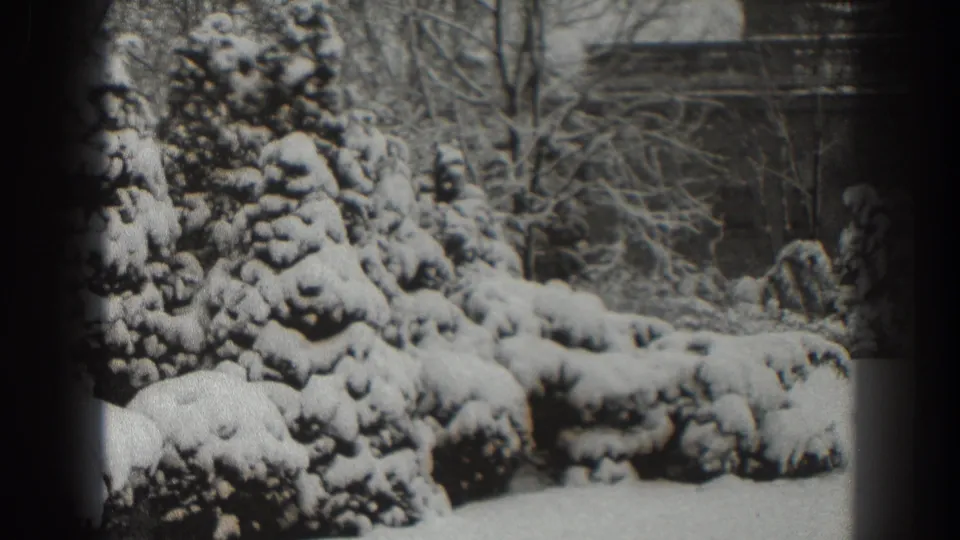 1938 Martinsburg 8mm frame showing snow-laden evergreens, bare branches, and a quiet yard after a storm.