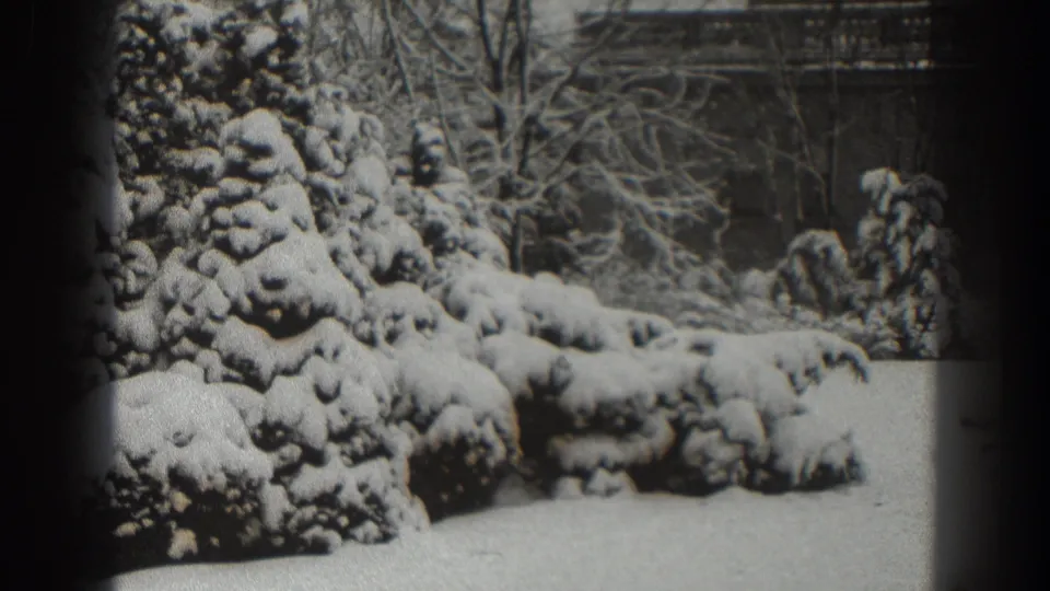 A steady 1938 Martinsburg home-movie view of snow piled on evergreens and shrubs in a quiet yard.