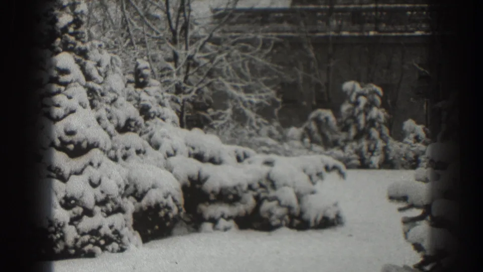 1938 Martinsburg winter yard scene with snow-laden shrubs, bare branches, and faint background structures.
