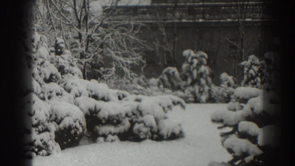 Martinsburg, West Virginia 1938 frame showing a snow-blanketed yard with evergreens and bare winter trees.