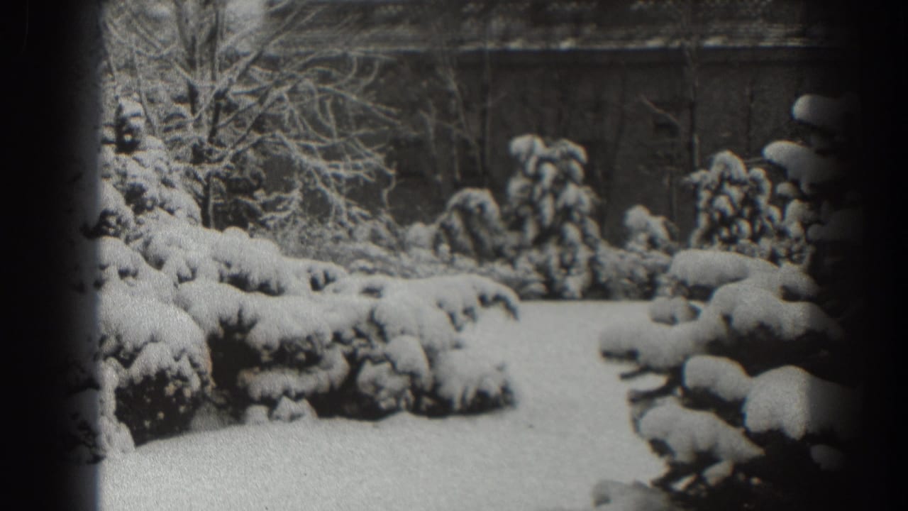 Snow-covered shrubs and trees in front of a brick building.