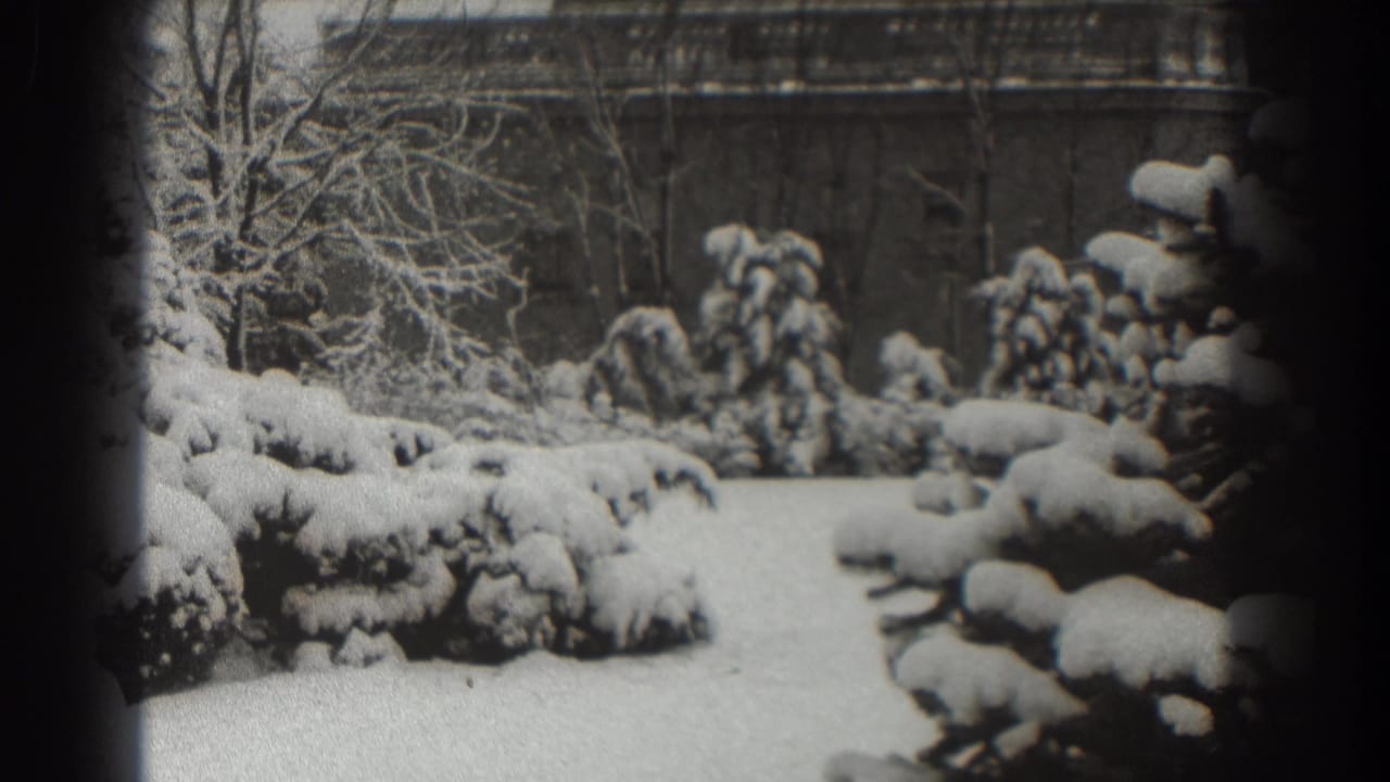 Snowy evergreens and bare trees beside a brick building.