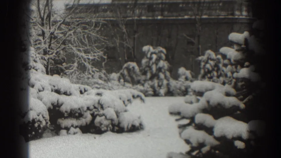 Snow-covered evergreens and leafless trees stand before a brick building in this 1938 Martinsburg winter exterior.