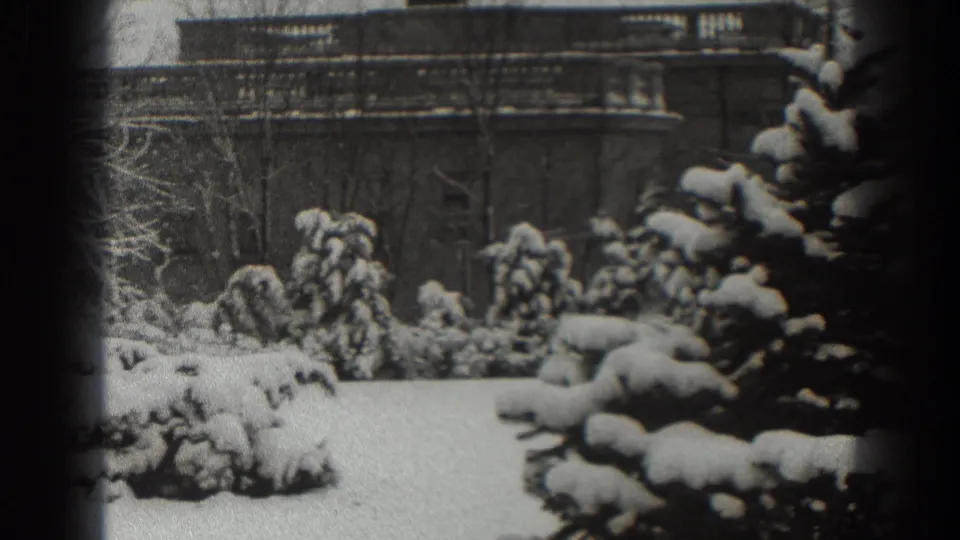 A snowy Martinsburg garden view with low shrubs, a large evergreen at right, and a brick building in the background.