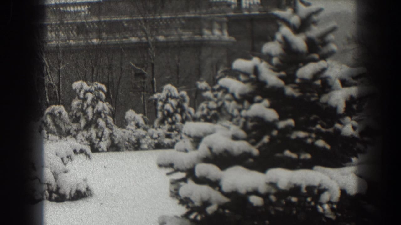 Snow-covered pine tree in a winter landscape with smaller evergreens and a building behind it.