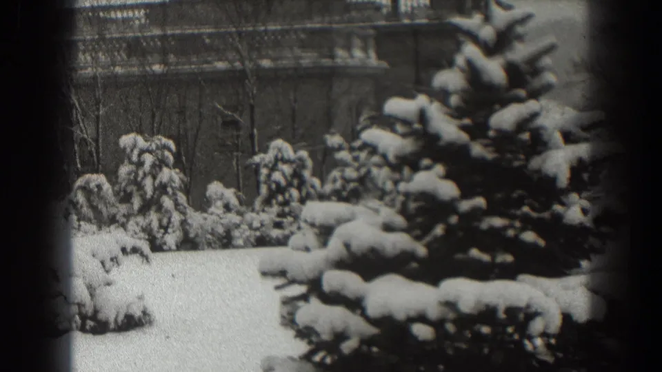 1938 Martinsburg, West Virginia home-movie frame showing a snow-laden pine tree, white ground, smaller evergreens, and a distant building.