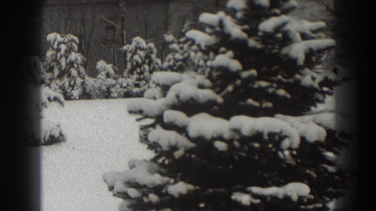 Large evergreen branches heavy with snow in front of a snowy yard and smaller trees.