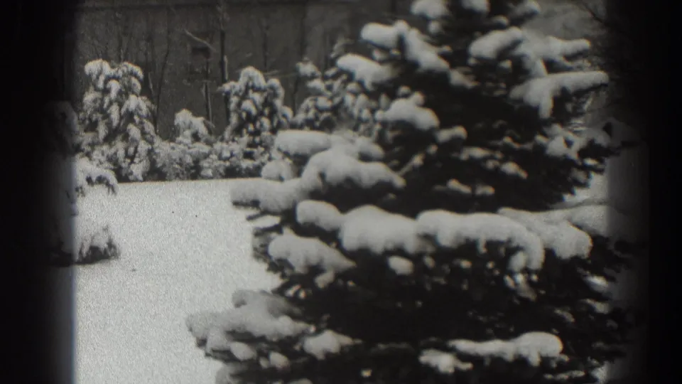 Snow-covered evergreen fills the right side of this Martinsburg winter frame, with open snow and smaller trees in the background.