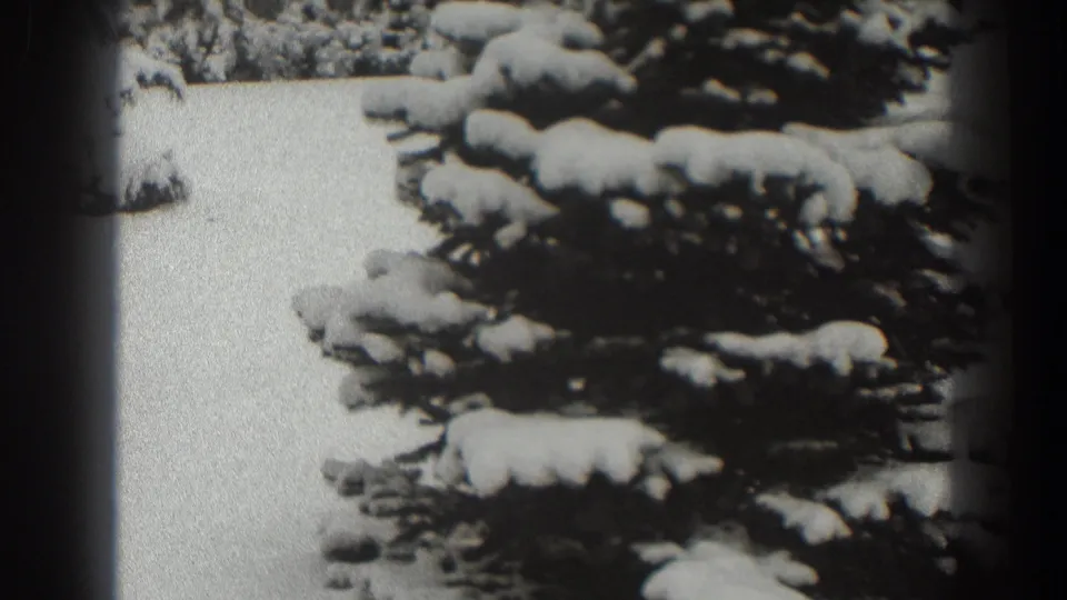 The 8mm frame moves closer to the snow-laden pine, with bright snowy ground and dark evergreen branches filling the view.
