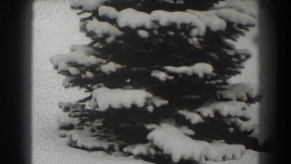 Final Martinsburg winter frame centered on the pine tree's lower snowy branches, with monochrome grain and a dark edge vignette.