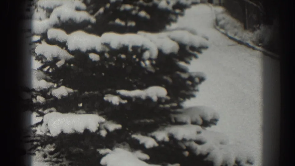 Snow-laden evergreen branches dominate this 1938 Martinsburg winter frame, with a pale path receding behind them.