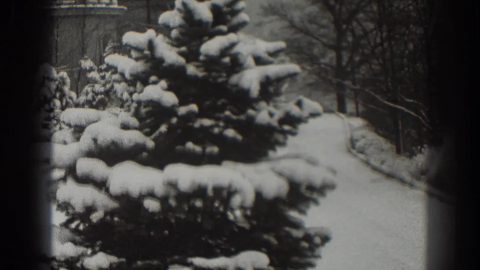 The frame opens wider on snow-covered evergreens, bare trees, and a winding path in 1938 Martinsburg, West Virginia.