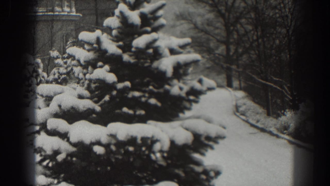 1938 Martinsburg home-movie frame showing heavy snow on evergreens, a curved path, bare trees, and a distant building.