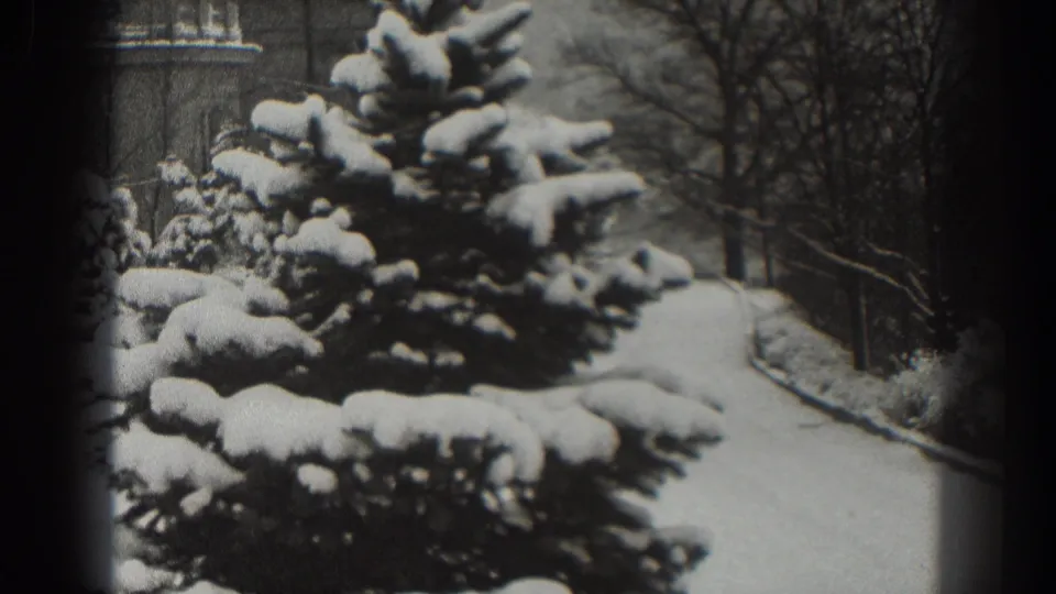 1938 Martinsburg home-movie frame showing heavy snow on evergreens, a curved path, bare trees, and a distant building.