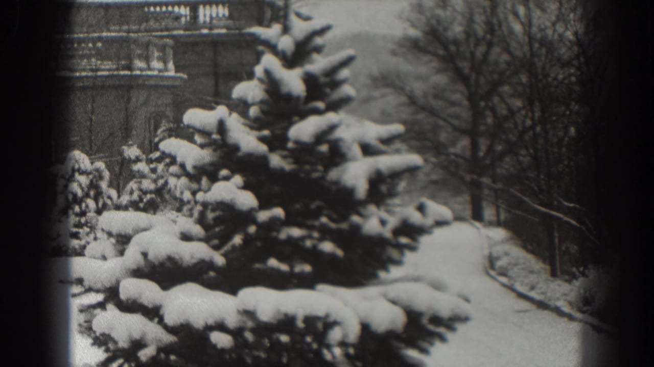 Snow-covered shrubs and evergreens line a path in Martinsburg, West Virginia, in a black-and-white 1938 8mm frame.