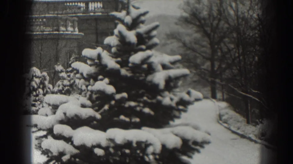 Snow-covered shrubs and evergreens line a path in Martinsburg, West Virginia, in a black-and-white 1938 8mm frame.