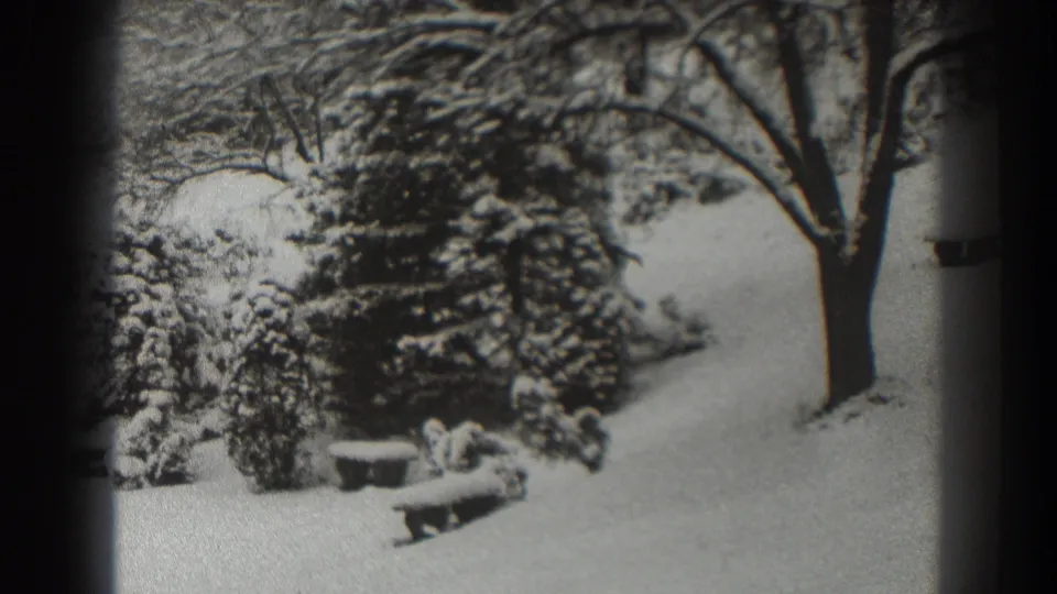 1938 Martinsburg winter frame with snow-covered shrubs, a bare tree trunk, low planters, and an open white ground surface.