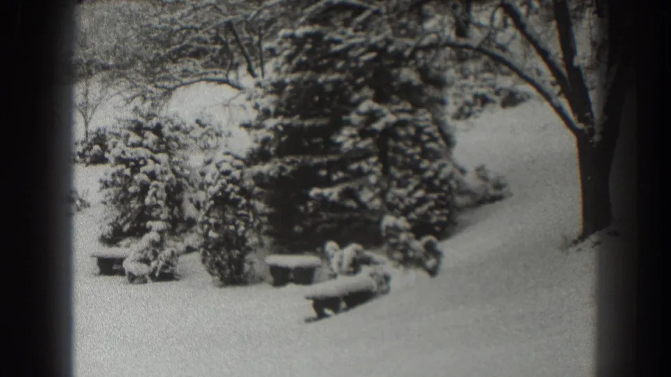 Black-and-white 8mm frame from 1938 showing a snow-covered planted area in Martinsburg, with shrubs, planters, and trees.