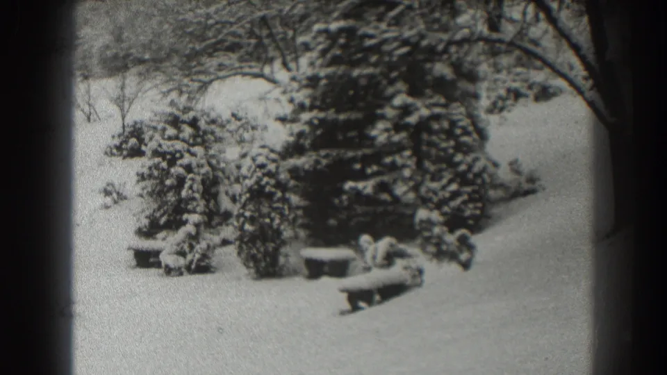 1938 Martinsburg, West Virginia 8mm frame showing snow-covered pines, low benches, shrubs, and bare trees in a quiet winter yard.