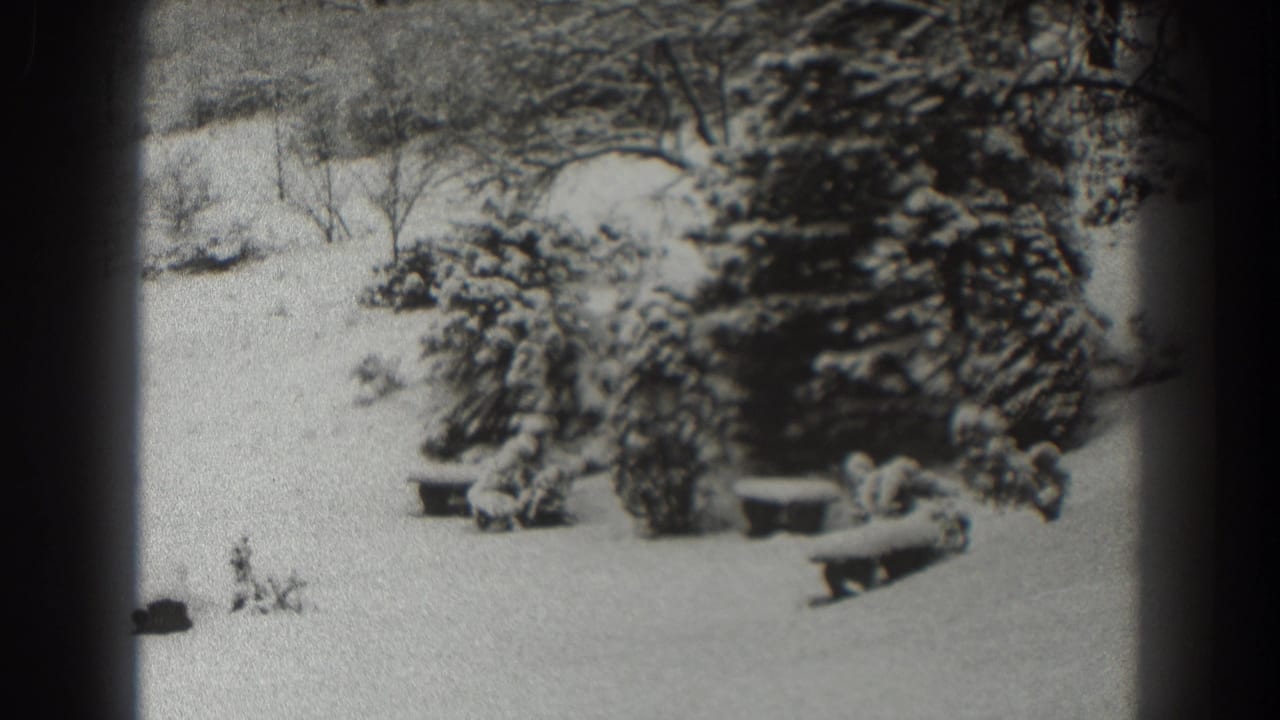 Snowy yard with evergreen trees, benches, and bare trees beyond.
