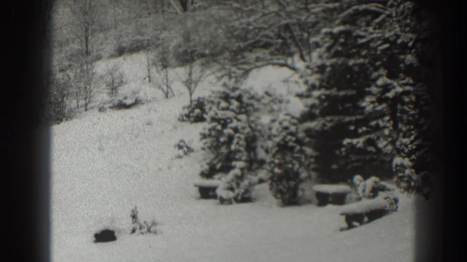 Black-and-white 8mm view of a snow-blanketed Martinsburg yard with evergreen plantings, benches, shrubs, and bare winter trees.
