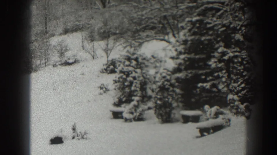 Martinsburg winter yard scene on 8mm film, with snow-covered evergreens, low benches, shrubs, and bare trees in soft focus.