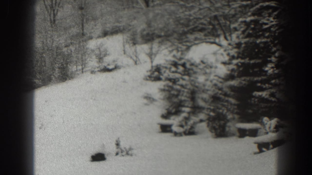 Snow-covered clearing with trees, shrubs, and dark film-frame edges.